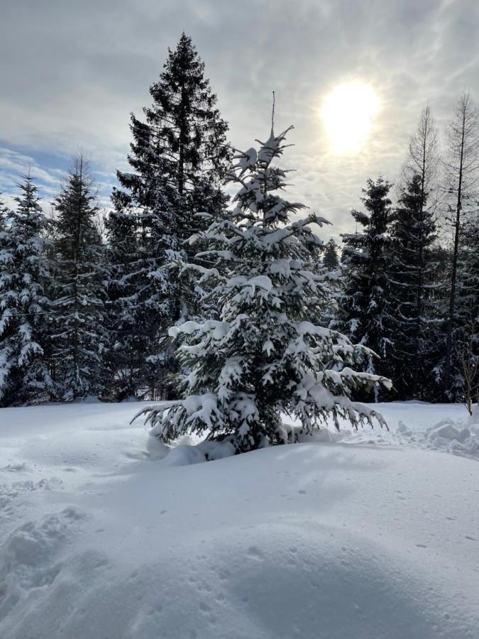 Chata Vevericka Oravská Lesná Exteriör bild